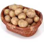 Potato