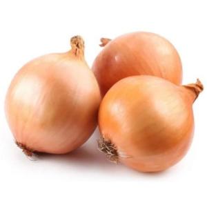 Onion