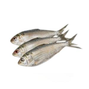 Hilsha (3pcs/1kg)