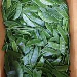 দেশি শিম