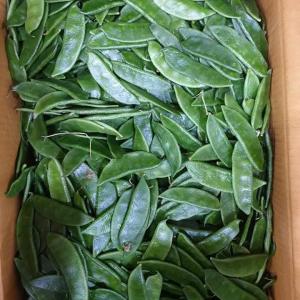 দেশি শিম