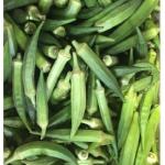 Okra