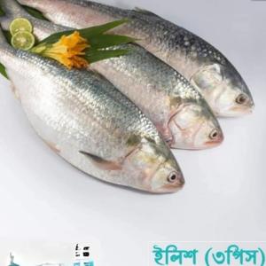 দেশি ইলিশ