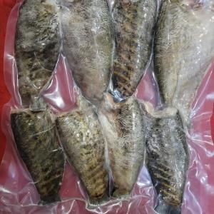 খলিসা মাছ