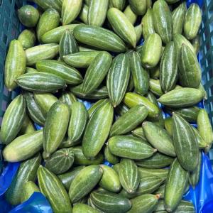 দেশী পটল