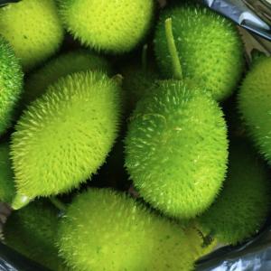 দেশী কাকরোল