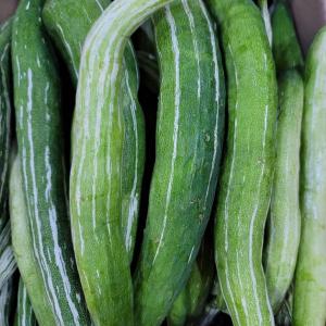 দেশে ঝিঙা