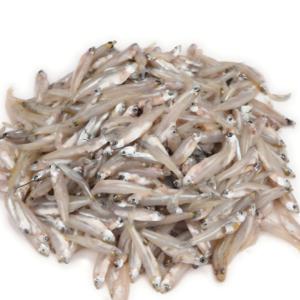 Kaski fish কাচকি মাছ